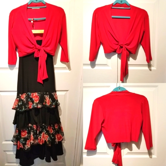 Professional flamenco dance tops only - Picture 2 of 2